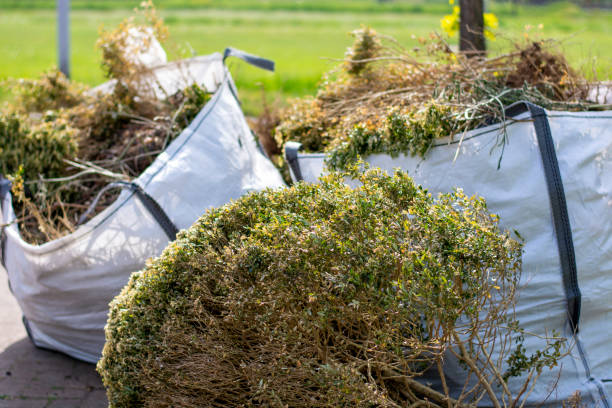 Best Scrap Metal Removal  in Cedar Creek, TX